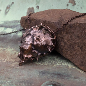 Armor -- Spider Crab Shell Pendant or Necklace in Bronze or Silver | Hibernacula