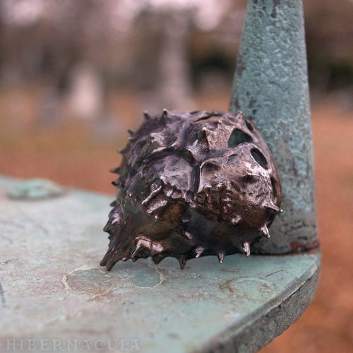 Armor -- Spider Crab Shell Pendant or Necklace in Bronze or Silver | Hibernacula