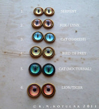 Загрузить изображение в средство просмотра галереи, Numina Iris Earrings -- Animal Eye Variations | Hibernacula
