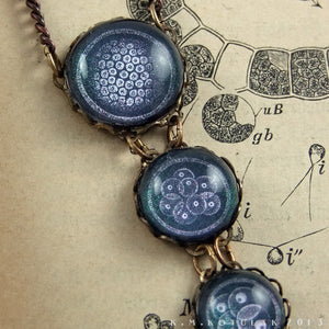 Mitosis -- Illustrated Brass Necklace | Hibernacula