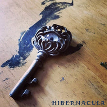 Загрузить изображение в средство просмотра галереи, Key of the Beholder -- Pendant in Bronze or Silver | Hibernacula
