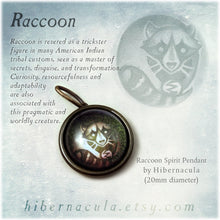 Load image into Gallery viewer, Raccoon Spirit -- Brass Animal Totem Pendant | Hibernacula
