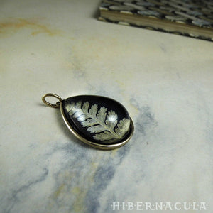 Fern Drop -- Preserved Fern Pendant in Brass | Hibernacula