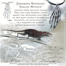 Load image into Gallery viewer, Primal Hamsa -- Juramaia Sinesis Fossil Pendant in Bronze or Silver with Raw Diamond | Hibernacula
